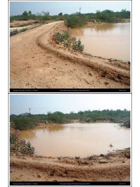 Canyon Erosion Control - Auroville Green Practices