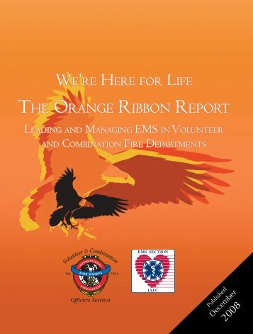 the orange ribbon report - International Association of Fire Chiefs