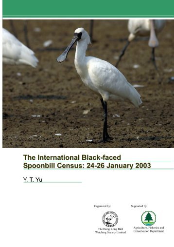 The International Black-faced Spoonbill Census: 24-26 January 2003
