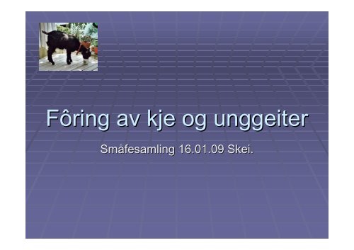 FÃƒÂ´ring av kje og ungdyr, SmÃƒÂ¥fesamling 16.01.09 - Nortura