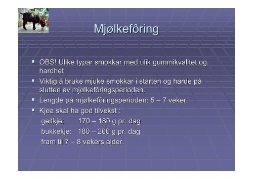 FÃƒÂ´ring av kje og ungdyr, SmÃƒÂ¥fesamling 16.01.09 - Nortura