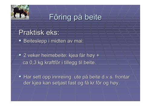 FÃƒÂ´ring av kje og ungdyr, SmÃƒÂ¥fesamling 16.01.09 - Nortura