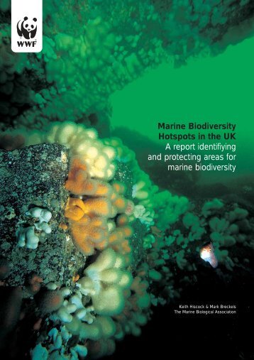 Marine Biodiversity - Hotspots in the UK - pdf - WWF UK