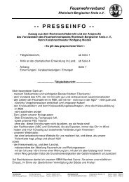 Rechenschaftsbericht als PDF-Download - Feuerwehrverband ...