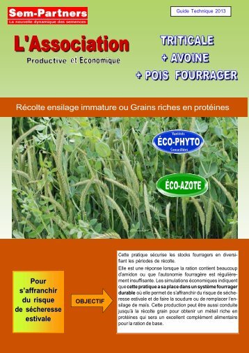 RÃ©colte ensilage immature ou Grains riches en ... - Sem-Partners