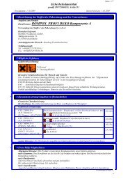 Sicherheitsdatenblatt - ROMEX-PFM