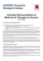 2008 Synthese etudes ENR mise en page V2 - ADEME Guyane