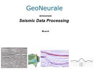 Seismic Data Processing - GeoNeurale