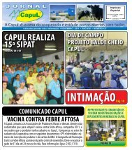 Ano XVII - NÃºmero 127 - CAPUL