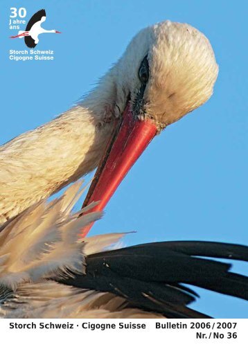 Storch Schweiz Â· Cigogne Suisse Bulletin 2006 / 2007 Nr. / No 36