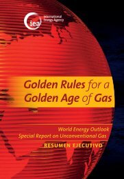 Golden Rules for a Golden Age of Gas - World Energy Outlook