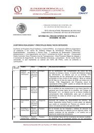 Resultado de auditoria Informe OIC - El Colegio de MichoacÃ¡n