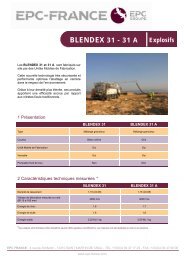 BLENDEX 31 ET 31A - 04 11.pub