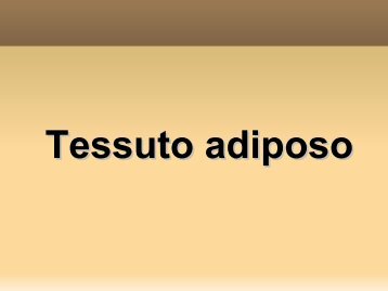 Tessuto adiposo