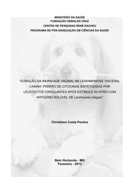 duraÃ§Ã£o da imunidade vacinal na leishmaniose visceral canina ...