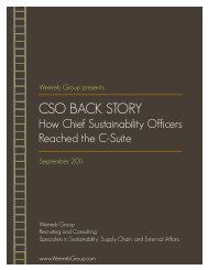 CSO BACK STORY - Weinreb Group