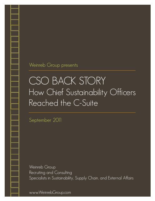 CSO BACK STORY - Weinreb Group