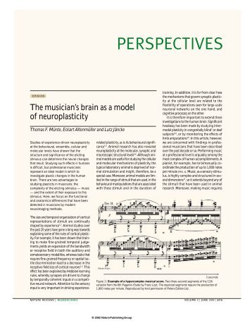 The musician's brain as a model of neuroplasticity