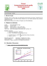Poirier Comportement porte-greffe VariÃ©tÃ© Homored 2009