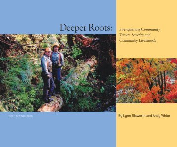 Deeper Roots; Strengthening Community Tenue ... - Ford Foundation
