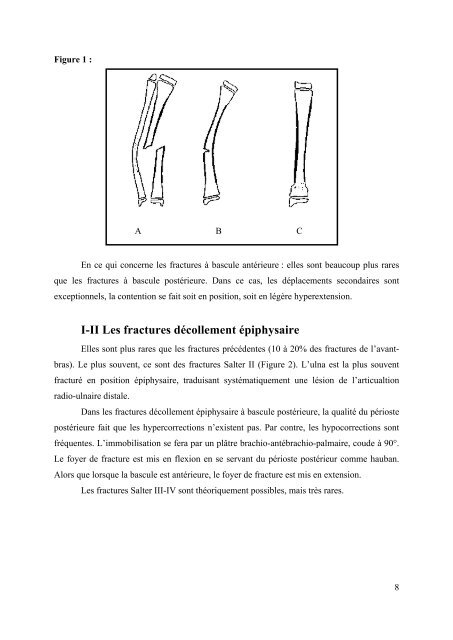 Pierre sylvain Marcheix - desc orthopedie