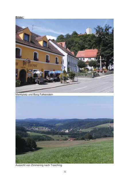 Mountainbiketouren im Landkreis Cham (PDF) - Naturpark Oberer ...