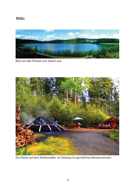 Mountainbiketouren im Landkreis Cham (PDF) - Naturpark Oberer ...