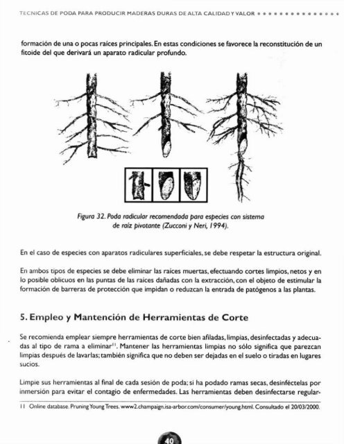 tecnicas de poda - Inicio - Infor