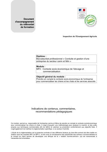 Document d'accompagnement MP2 - ChloroFil