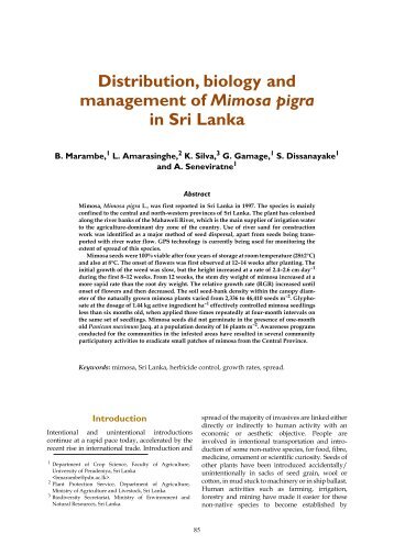 Distribution, biology and management of Mimosa ... - Weeds Australia