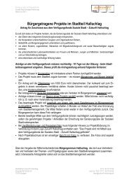 Infoblatt und Antrag VerfÃ¼gungsfonds (PDF) - Zukunft Hallschlag