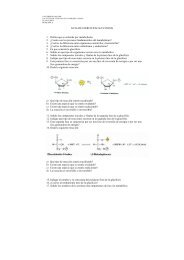 GUIA DE EJERCICIOS GLUCOLISIS 1. Defina que se entiende por ...