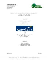 Summary Audit Report - International Cyanide Management Code