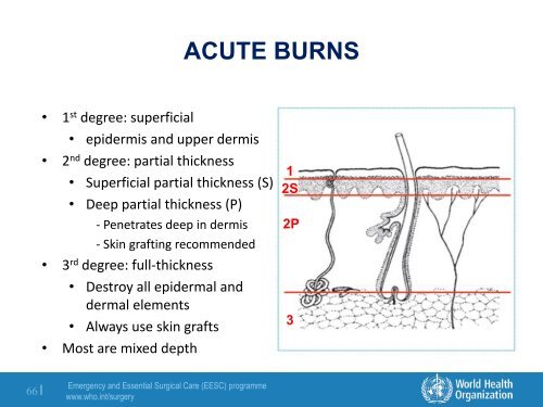 Module 2: Basic Surgical Skills