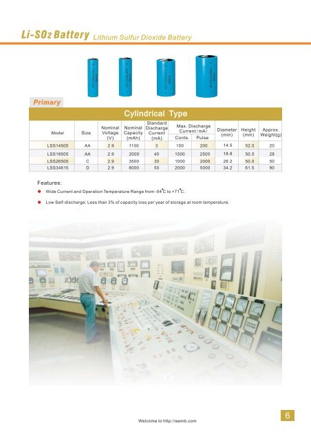 Li-Polymer Battery