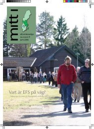 Nr 3 - EFS Mittsverige