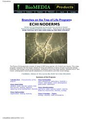 Biology Of Echinoderms - BioMedia Associates