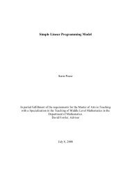 Simple Linear Programming Model