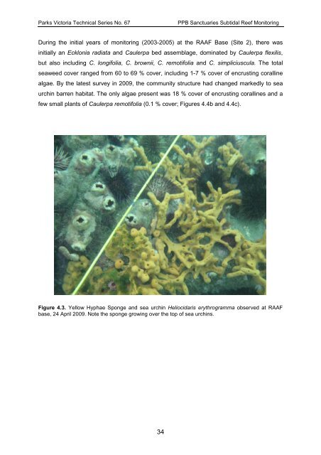 Victorian Subtidal Reef Monitoring Program - Parks Victoria