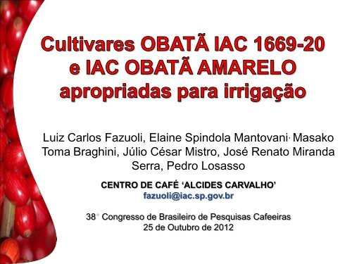 Cultivares Obatã IAC 1669-20 e IAC Obatã amarelo apropriados ...