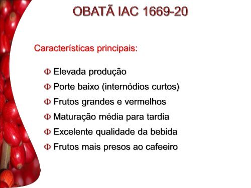 Cultivares Obatã IAC 1669-20 e IAC Obatã amarelo apropriados ...