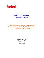 Valorisation des pneus hors d'usage dans le secteur de l'industrie ...