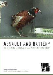 Assault and Battery - Animal Aid