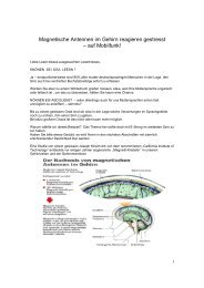 Magnetische Antennen im Gehirn reagieren gestresst - Blog von ...