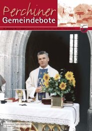 Gemeindebote Nr. 03/2009 (3,00 MB)