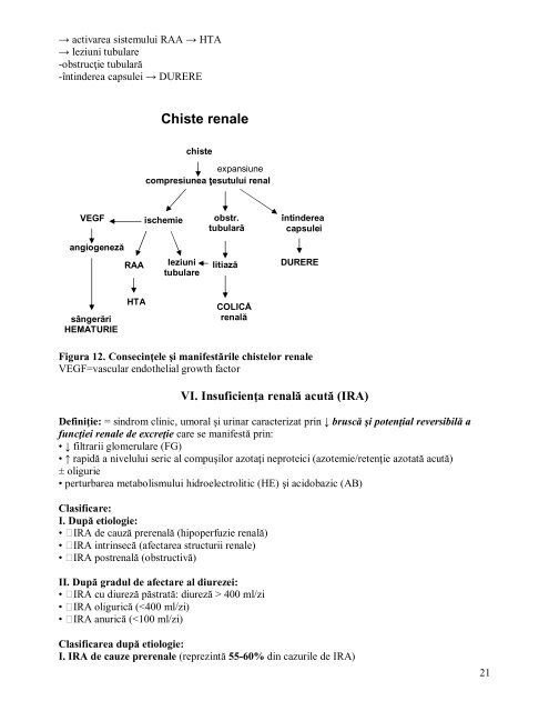 CURSUL 4 Ãºi 5 Fiziopatologia aparatului renal I. Nefropatiile ...