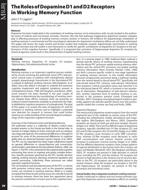 The Roles of Dopamine D1 and D2 Receptors in Working Memory ...