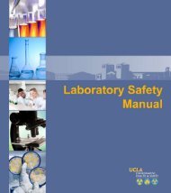 Laboratory Safety Manual - UCLA Department of Chemistry and ...