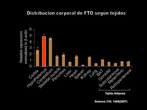 Epigenetica de la obesidad. - Aveso