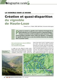 Création et quasi-disparition du vignoble de Haute-Loue - ThéMA